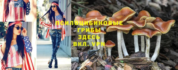 герыч Бронницы
