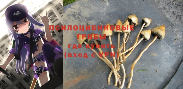 герыч Бронницы