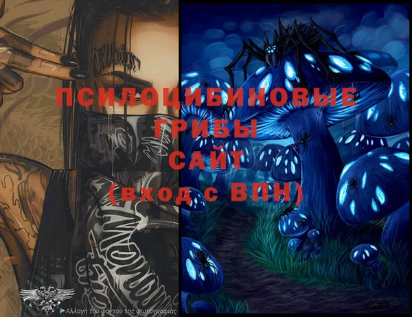 герыч Бронницы