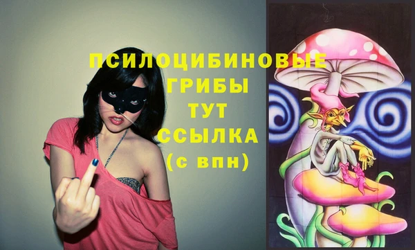 герыч Бронницы