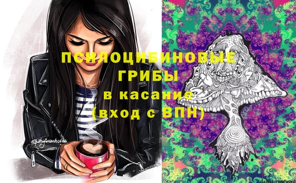 герыч Бронницы